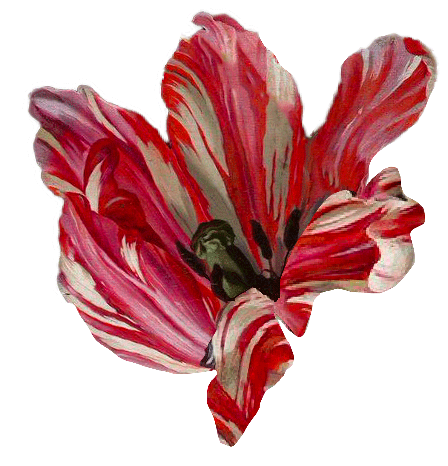 nathalie-saint-oyant-copyrights