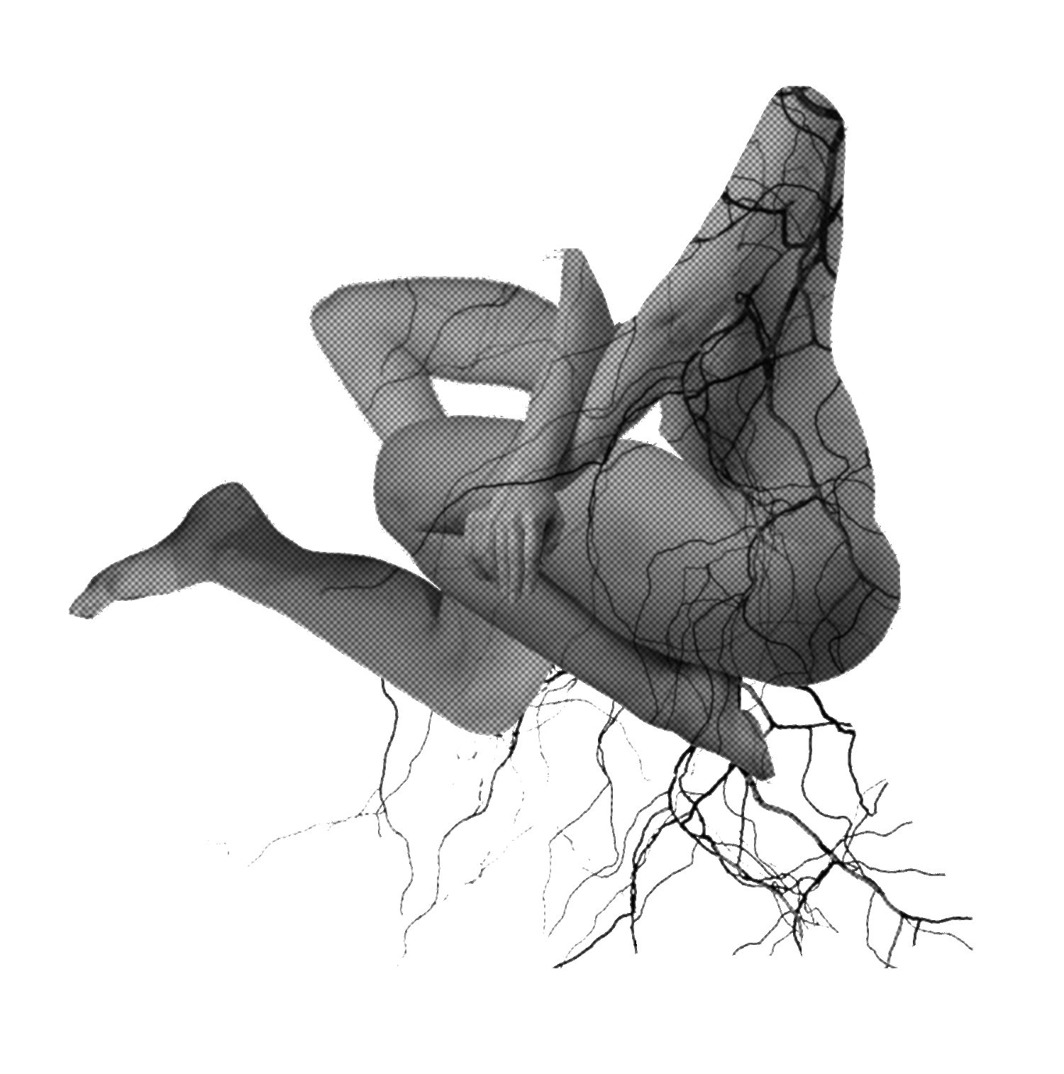 nathalie-saint-oyant-copyrights