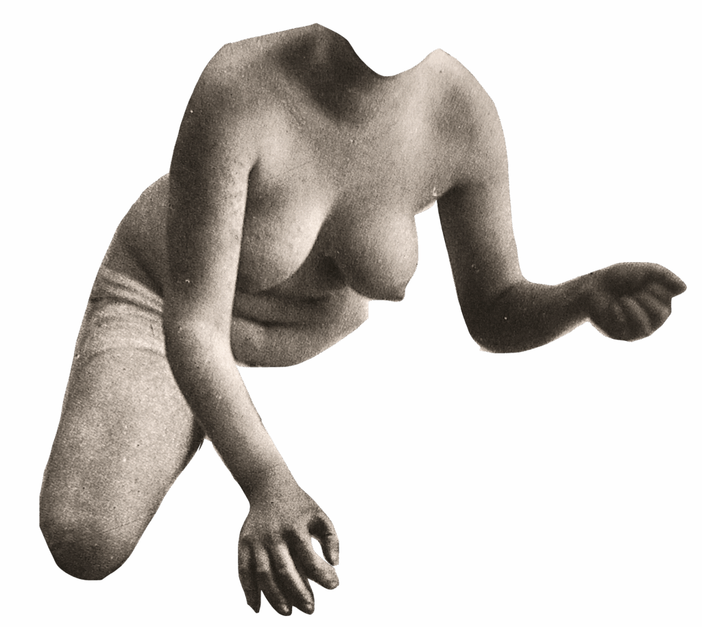 Nathalie-Saint-Oyant-Tous-Droits-Réservés