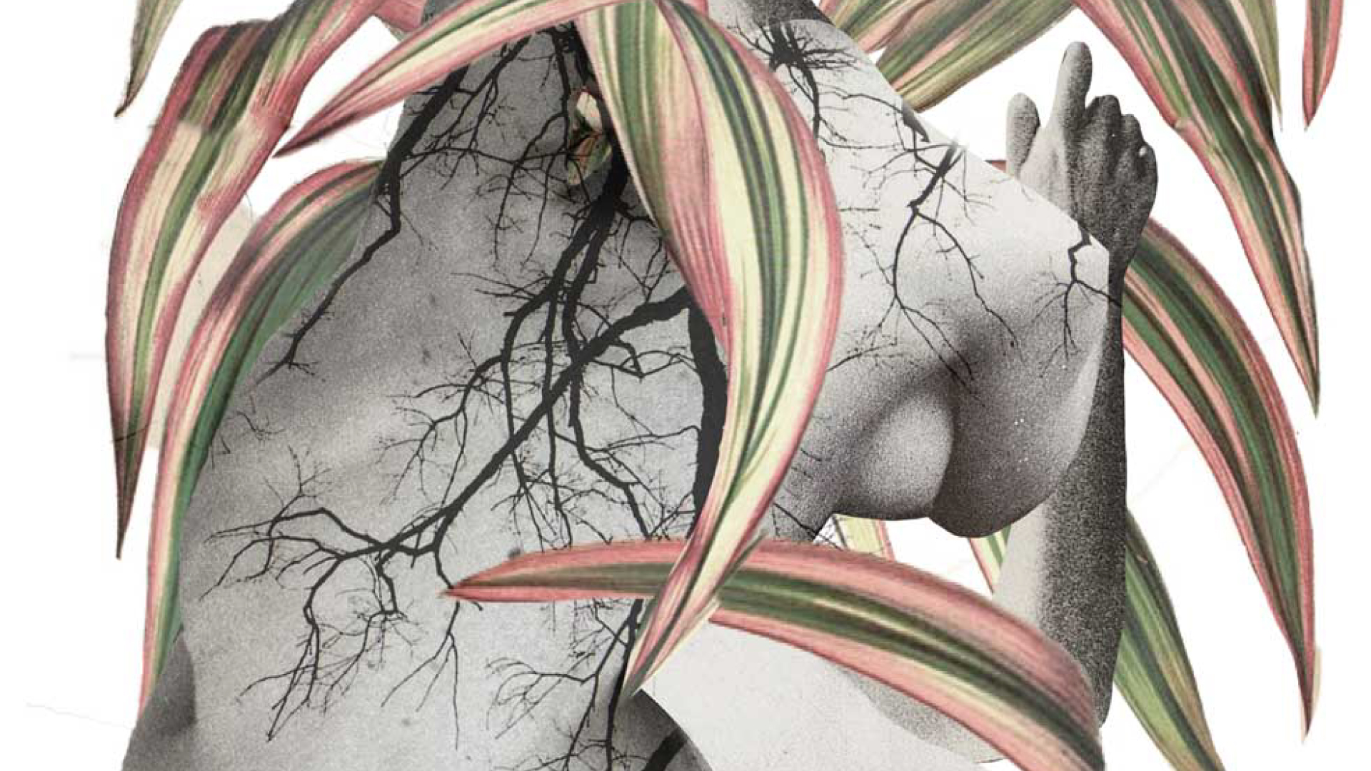 Nathalie-Saint-Oyant-Tous-Droits-Réservés