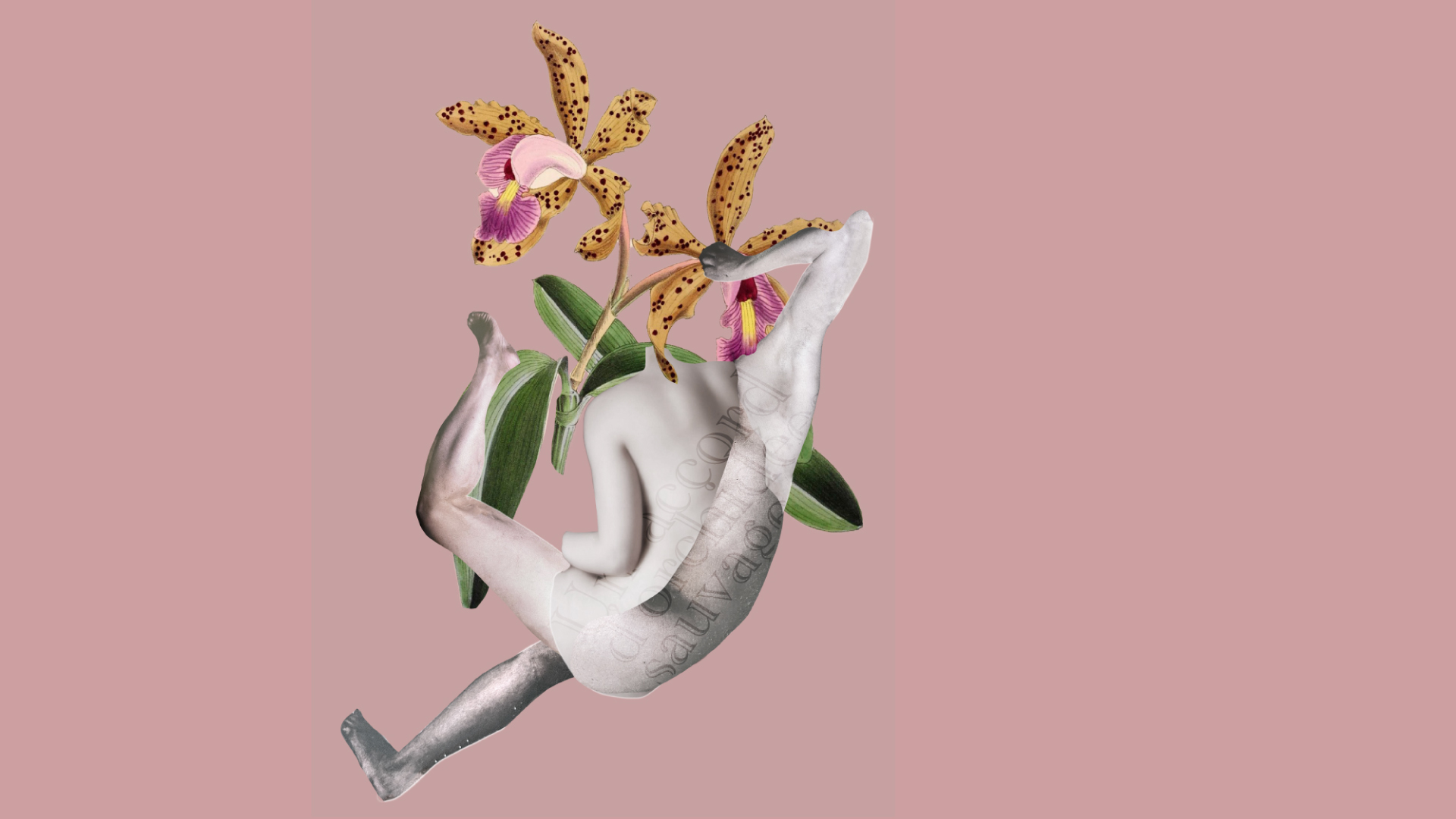 Nathalie-Saint-Oyant-Tous-Droits-Réservés