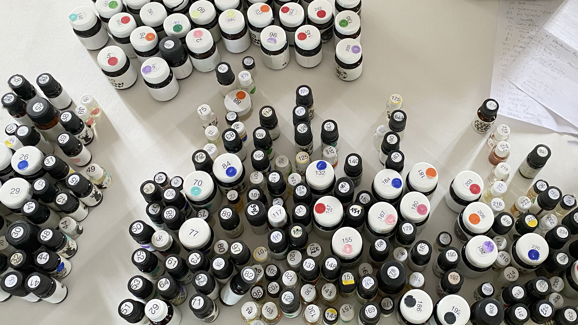 Nathalie-Saint-Oyant-Tous-Droits-Réservés