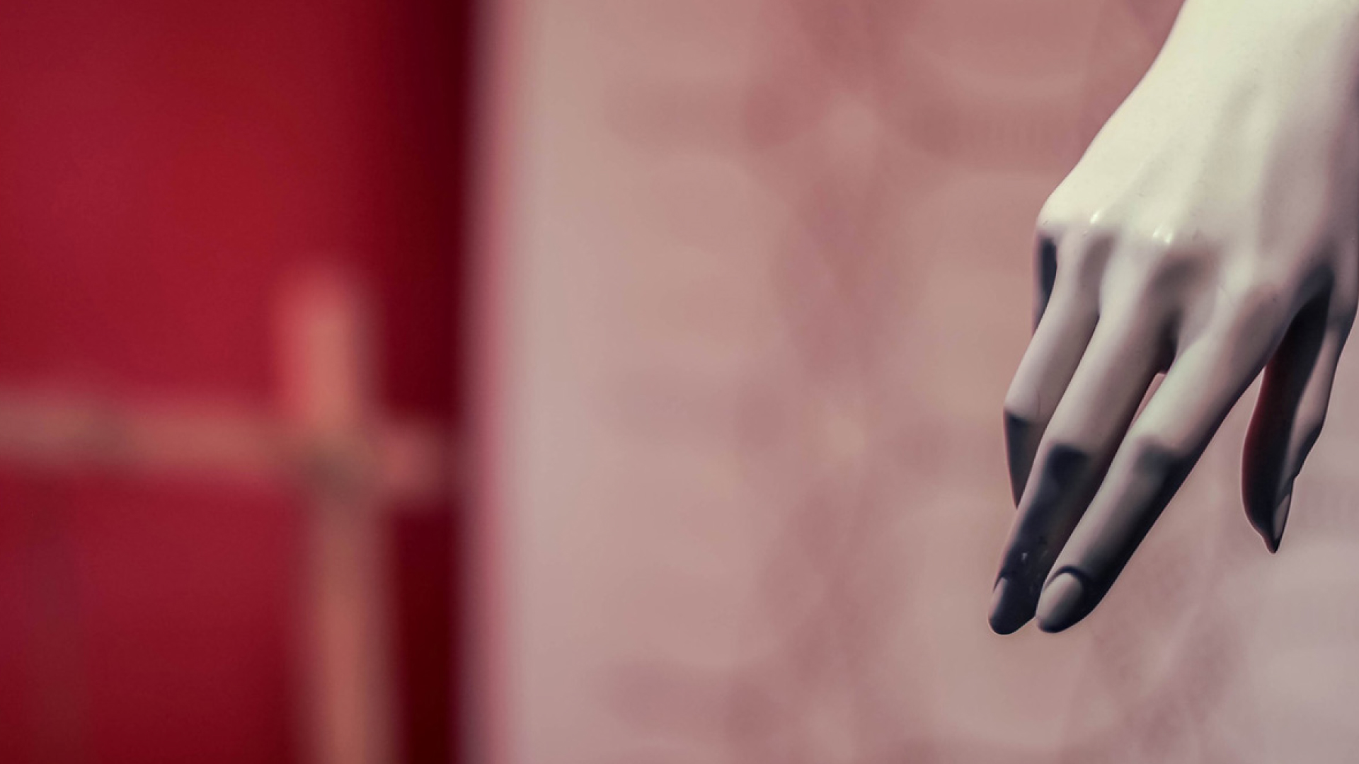 photo-Nathalie Saint-Oyant