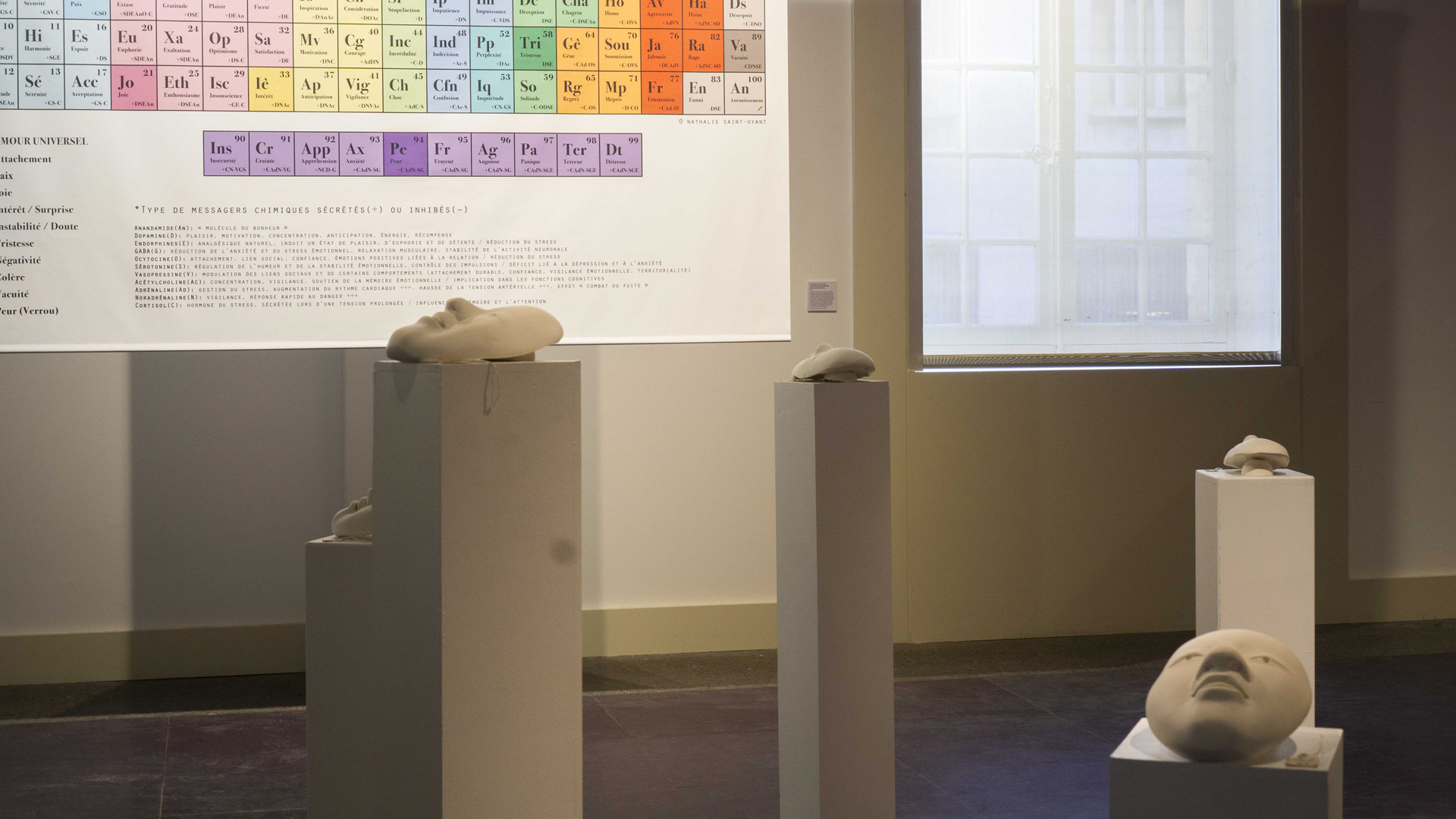 EXPOSITION - PARCOURS DE L'ART - MUSEUM DES SENTIMENTS - TOUS DROITS RÉSERVÉS - 2025